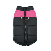 KUTKUT Waterproof and Warm Padded Zipper Winter Jackets for Dogs and Cats - kutkutstyle